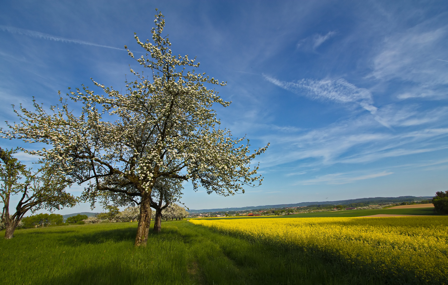 Frühlingsfarben