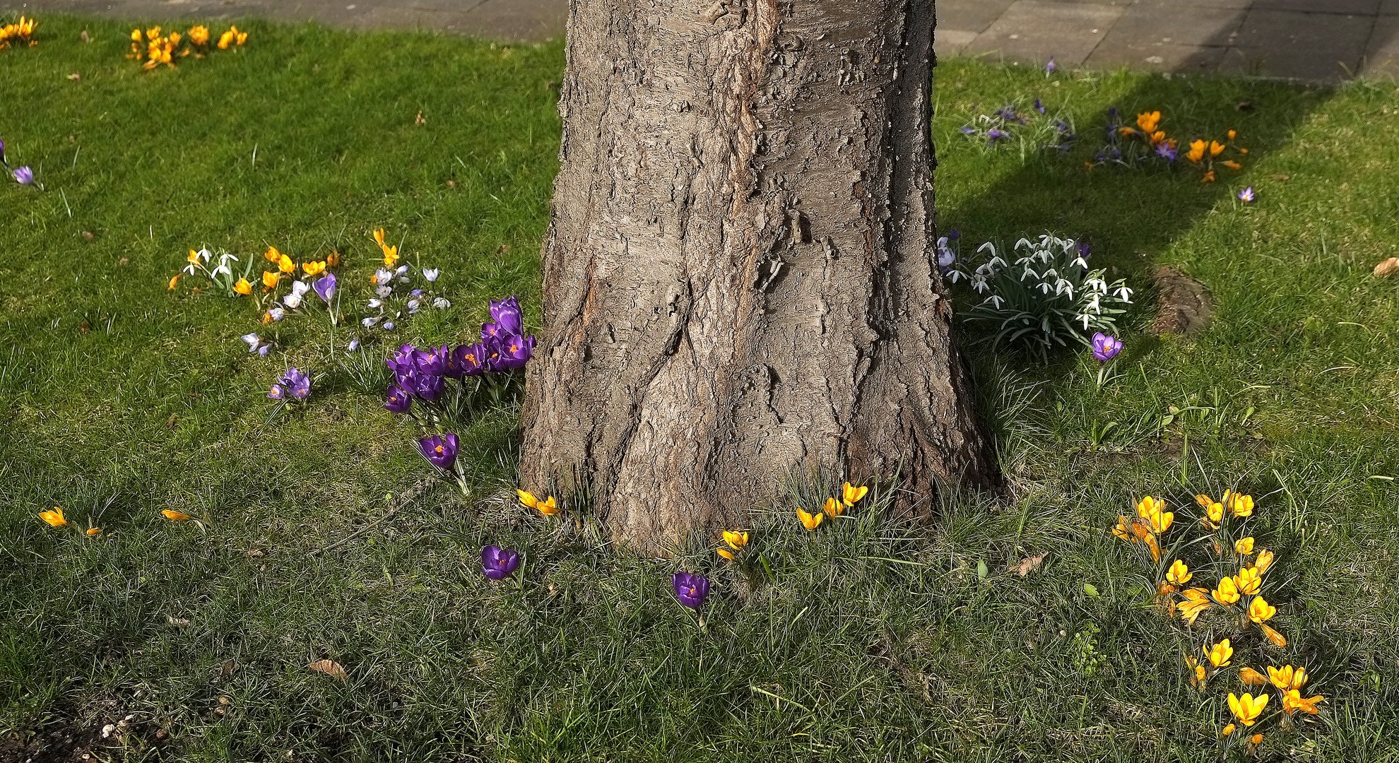 Frühlingsfarben