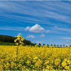 Frühlingsfarben