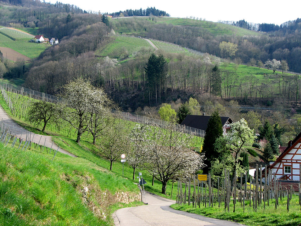 Frühlingsfarben