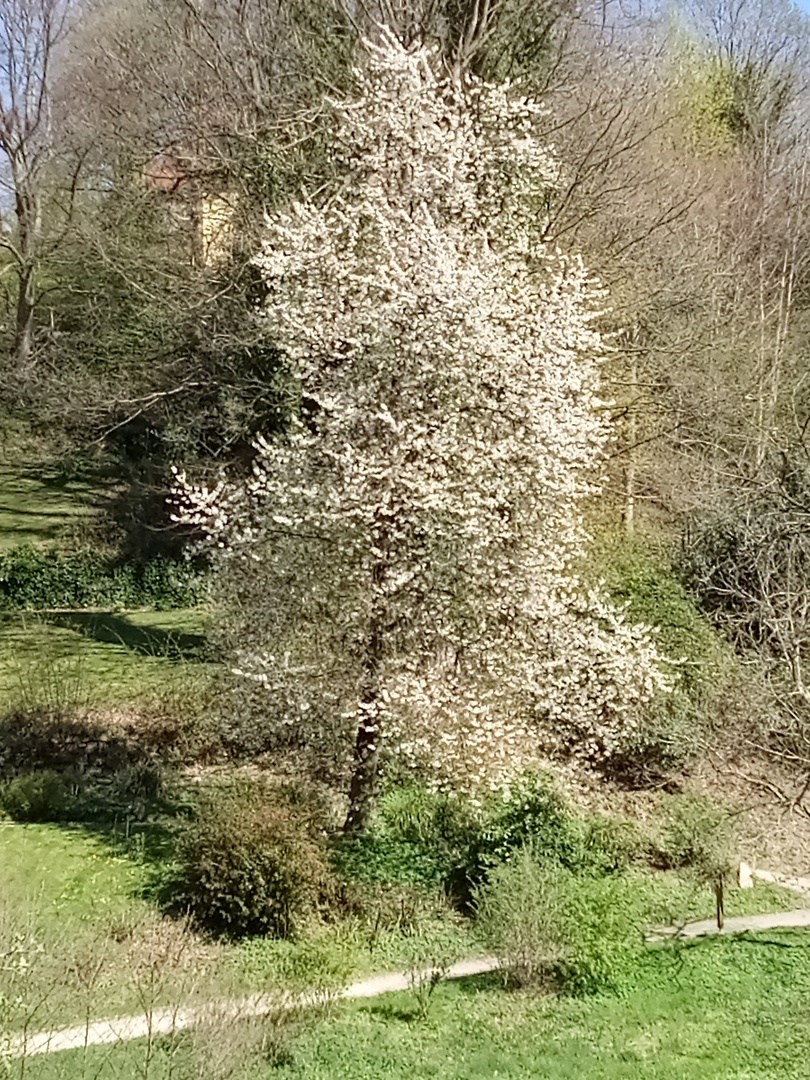 Frühlingsfarben