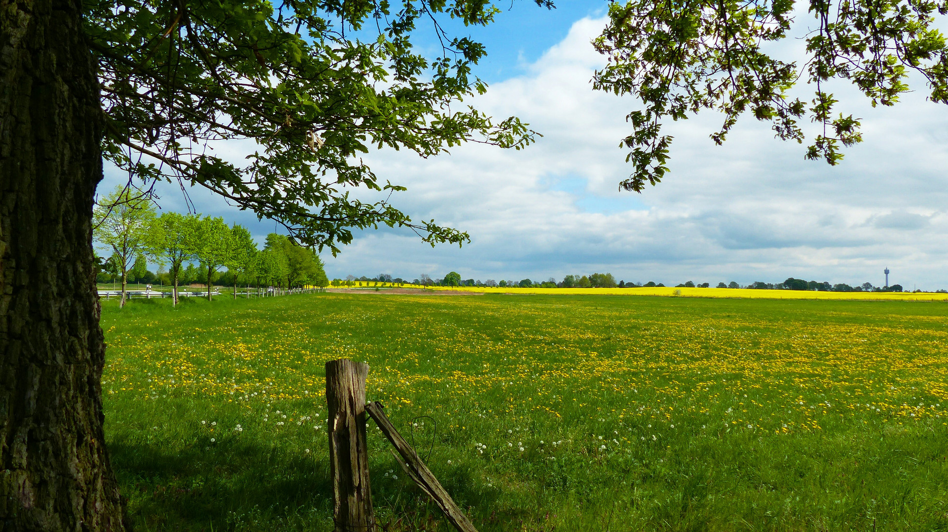 Frühlingsfarben