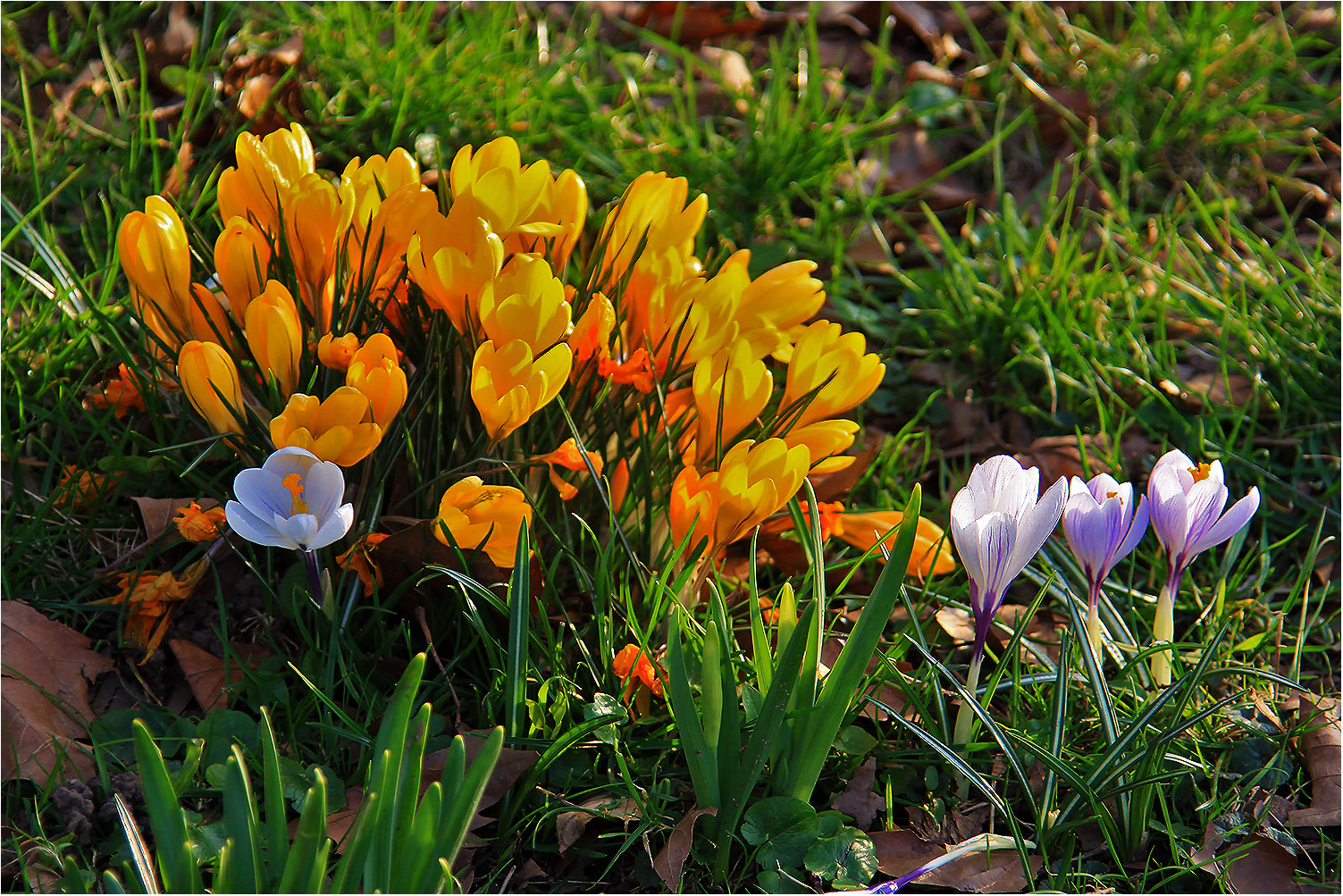 Frühlingsfarben