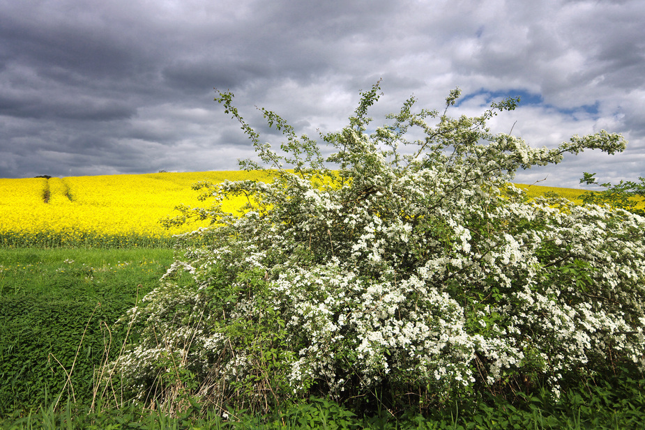 Frühlingsfarben