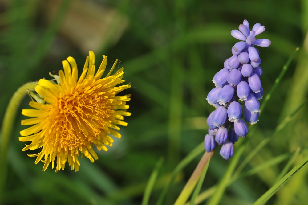 Frühlingsfarben