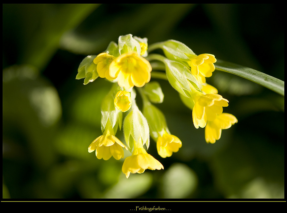 Frühlingsfarben