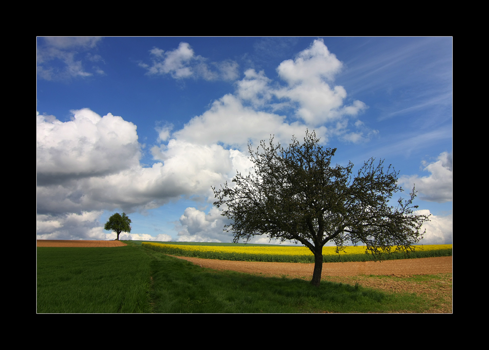 Frühlingsfarben