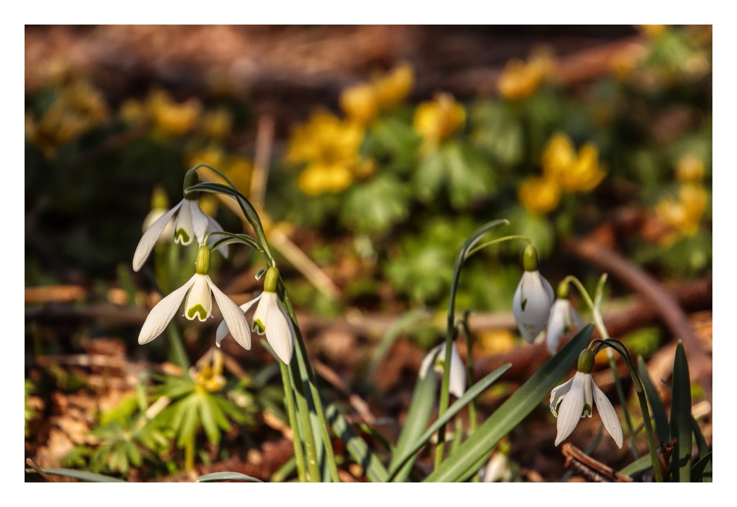 Frühlingsfarben