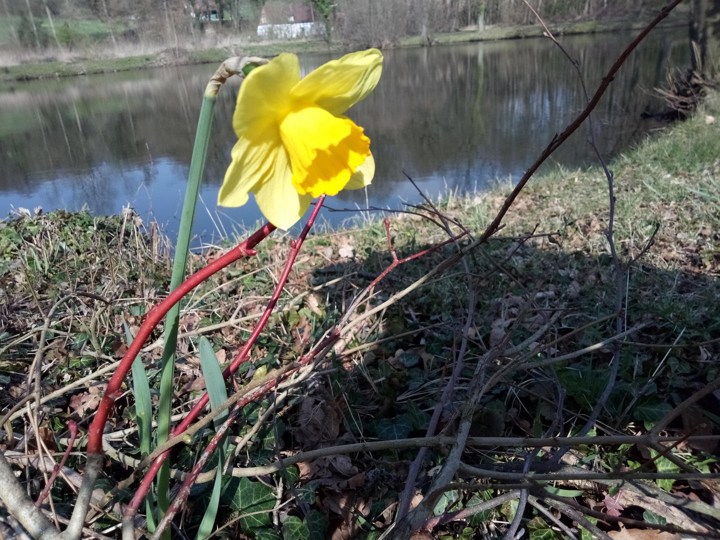 Frühlingsfarben