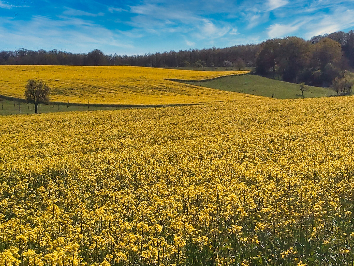  Frühlingsfarben