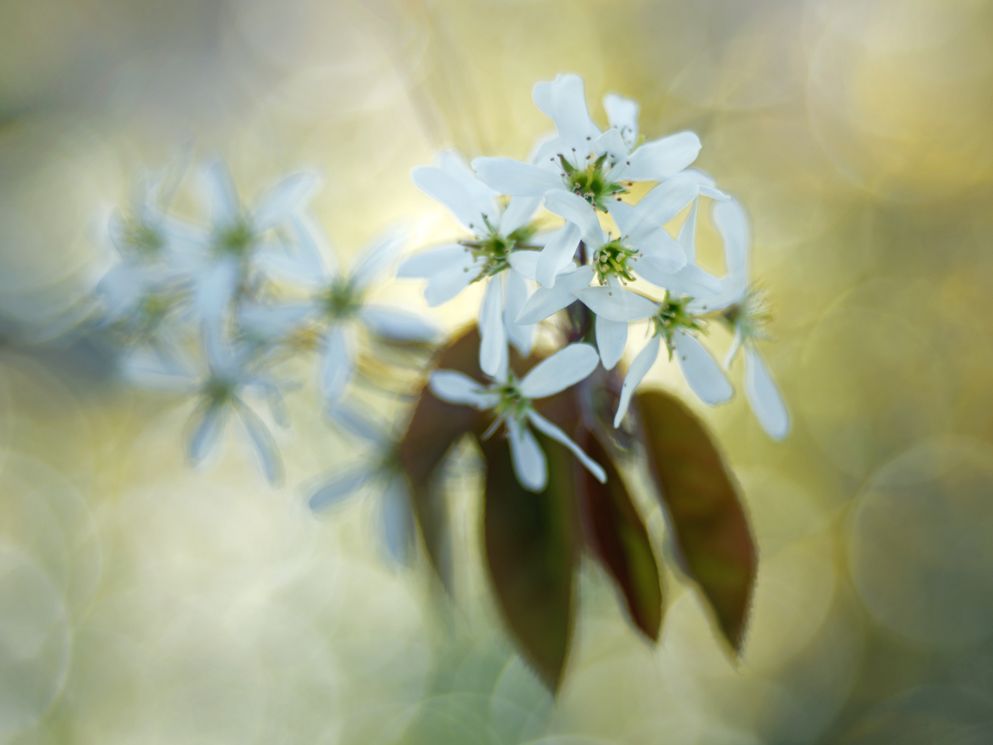 Frühlingsfarben