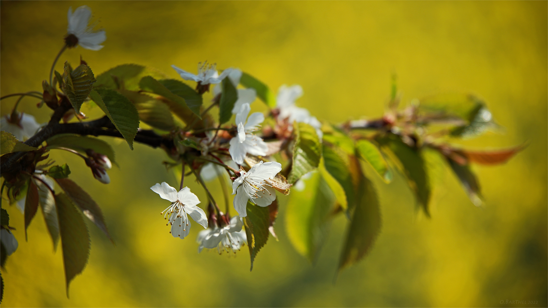 Frühlingsfarben