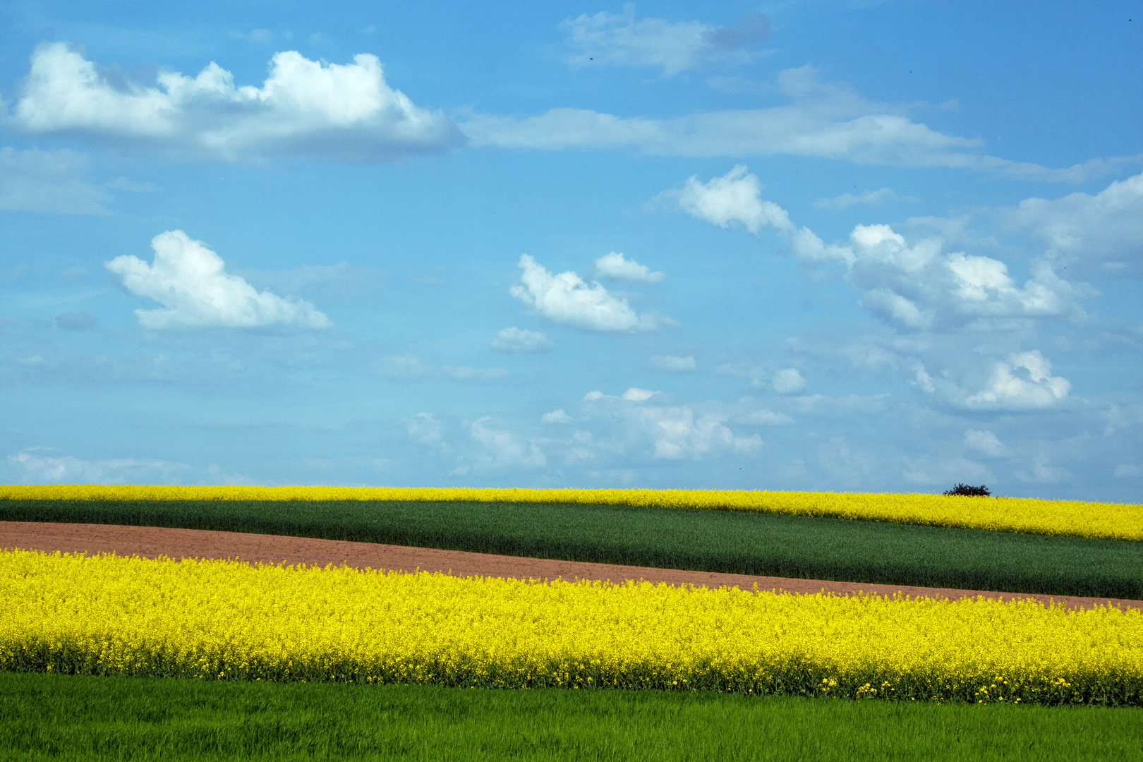 Frühlingsfarben