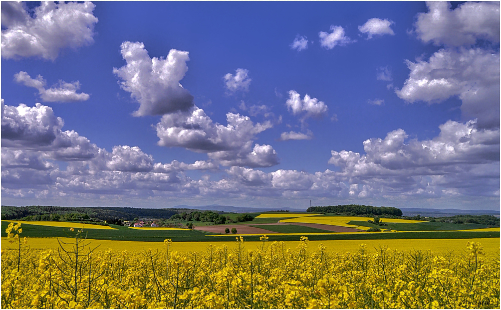 ~ Frühlingsfarben ~