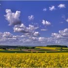 ~ Frühlingsfarben ~