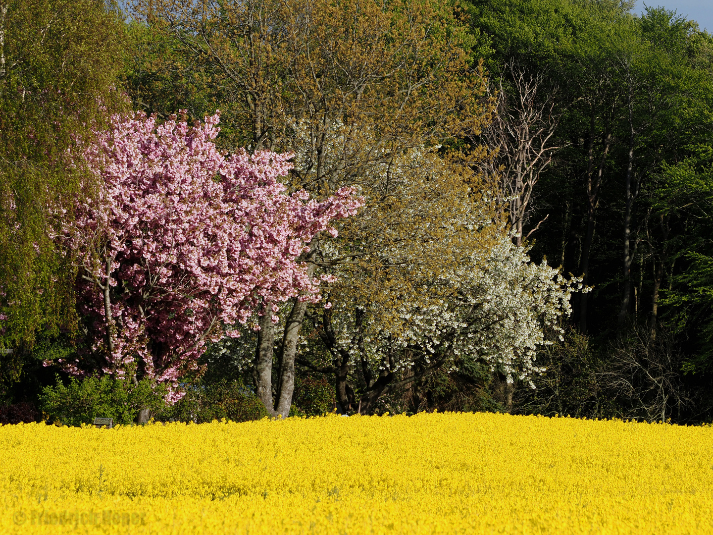 Frühlingsfarben