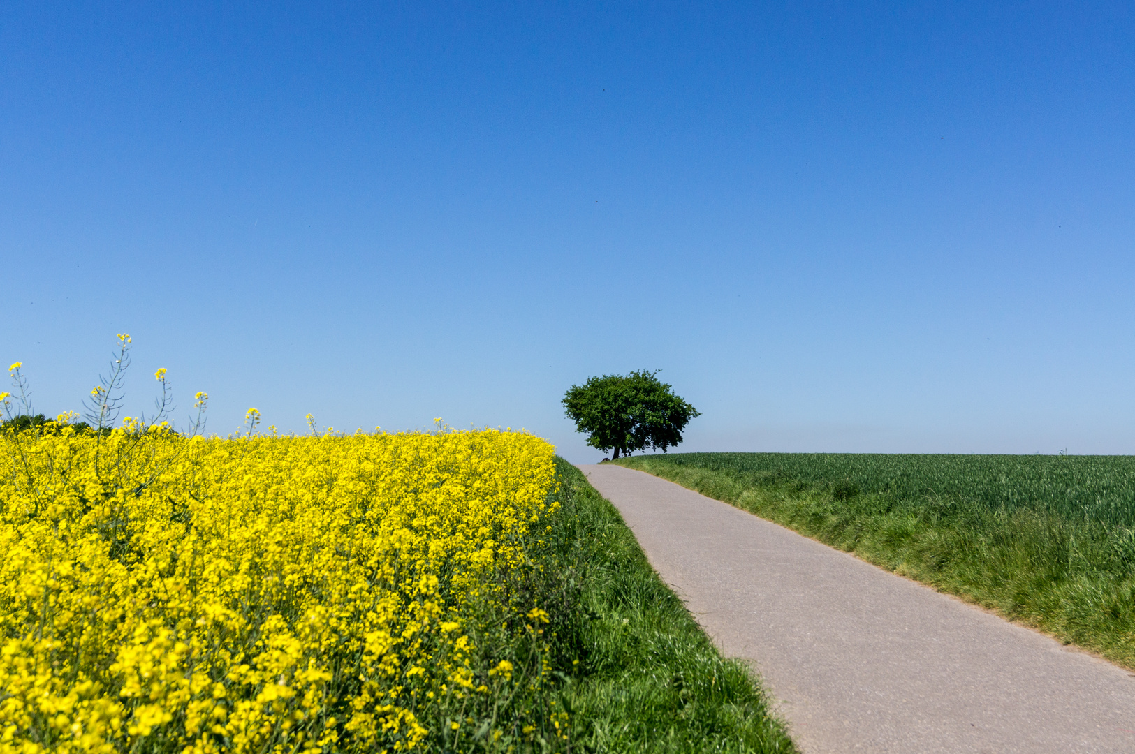 Frühlingsfarben