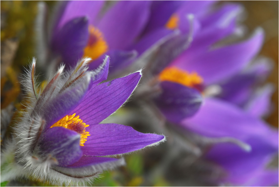 Frühlingsfarben