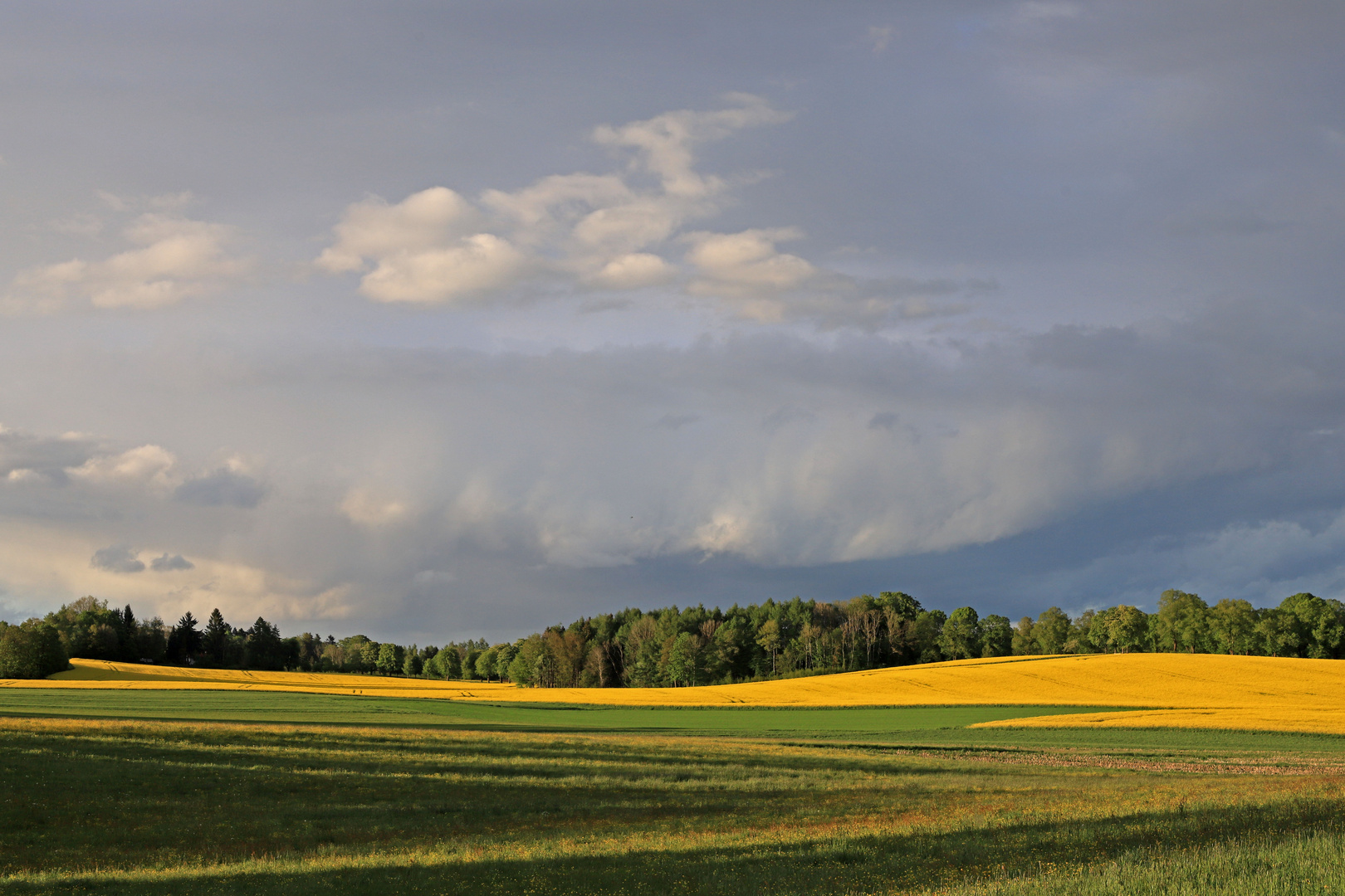 Frühlingsfarben