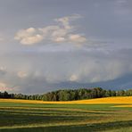 Frühlingsfarben