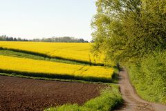 Frühlingsfarben