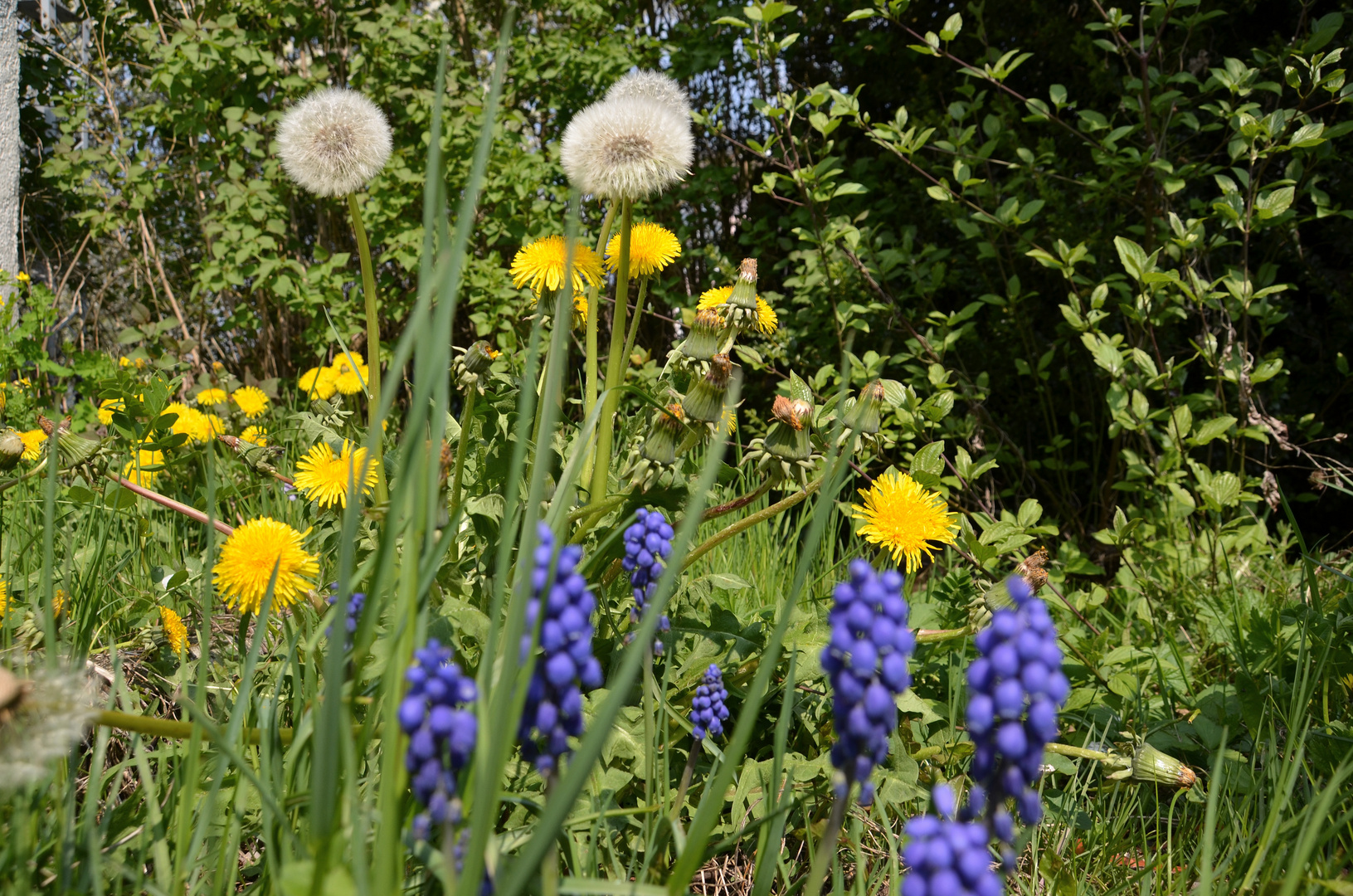 Frühlingsfarben