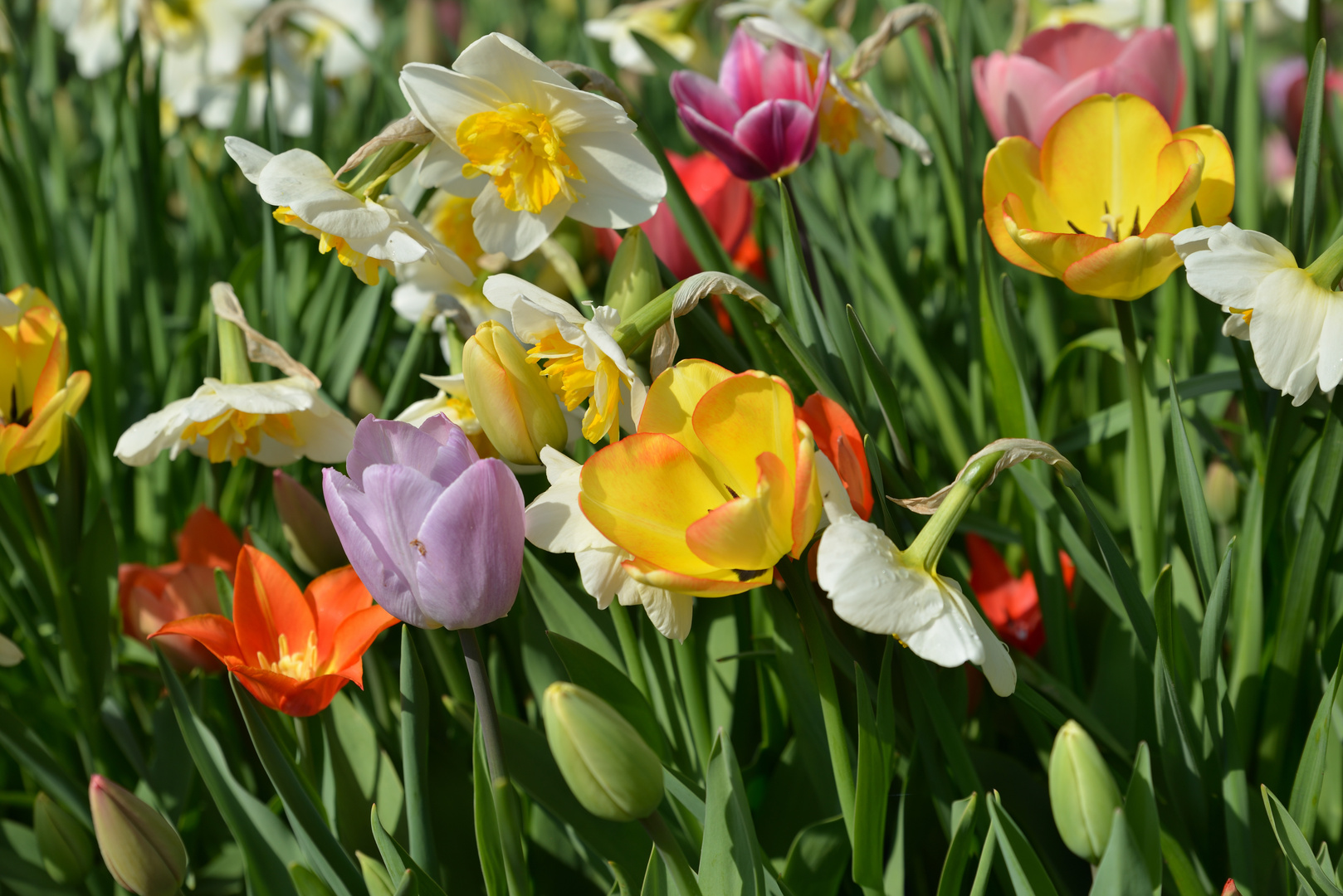 Frühlingsfarben