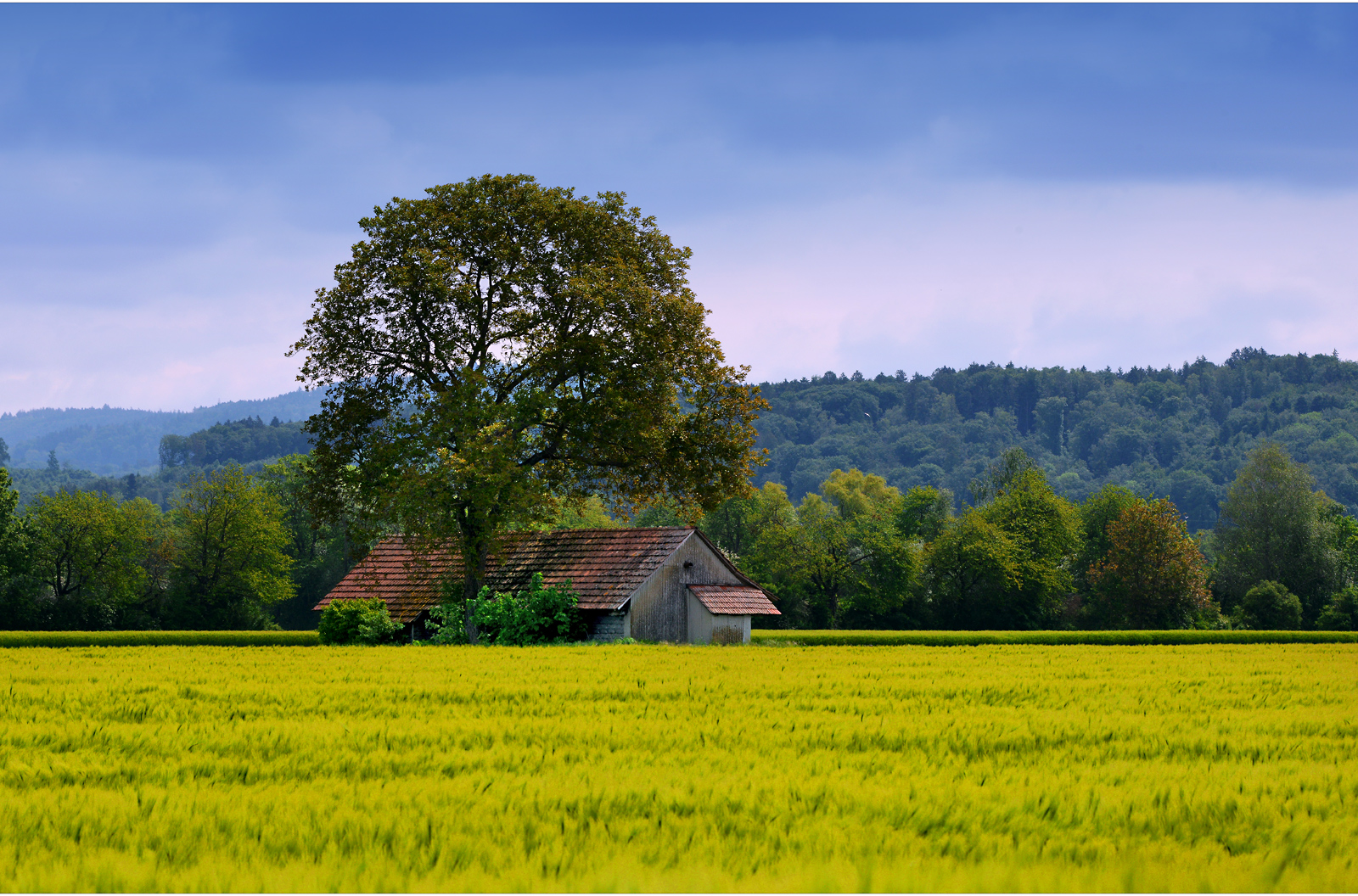 ...frühlingsfarben...