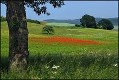 Frühlingsfarben