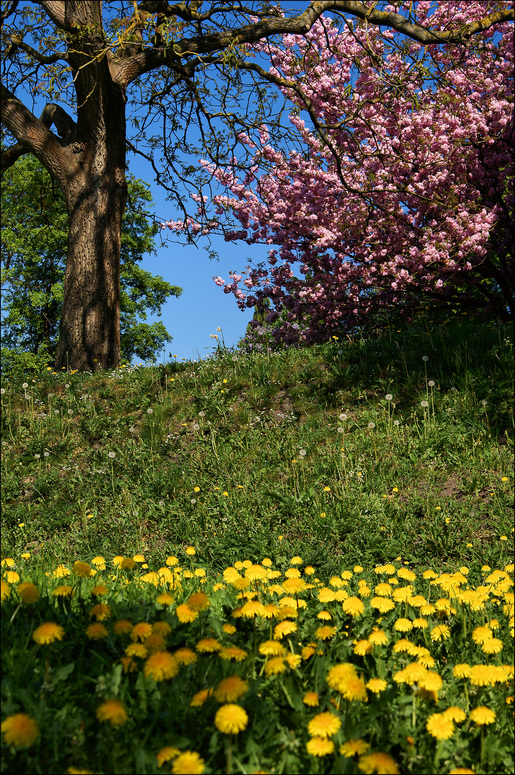 Frühlingsfarben