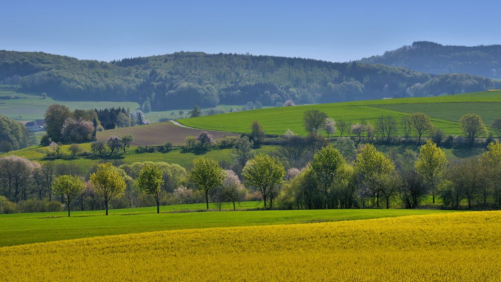 Frühlingsfarben