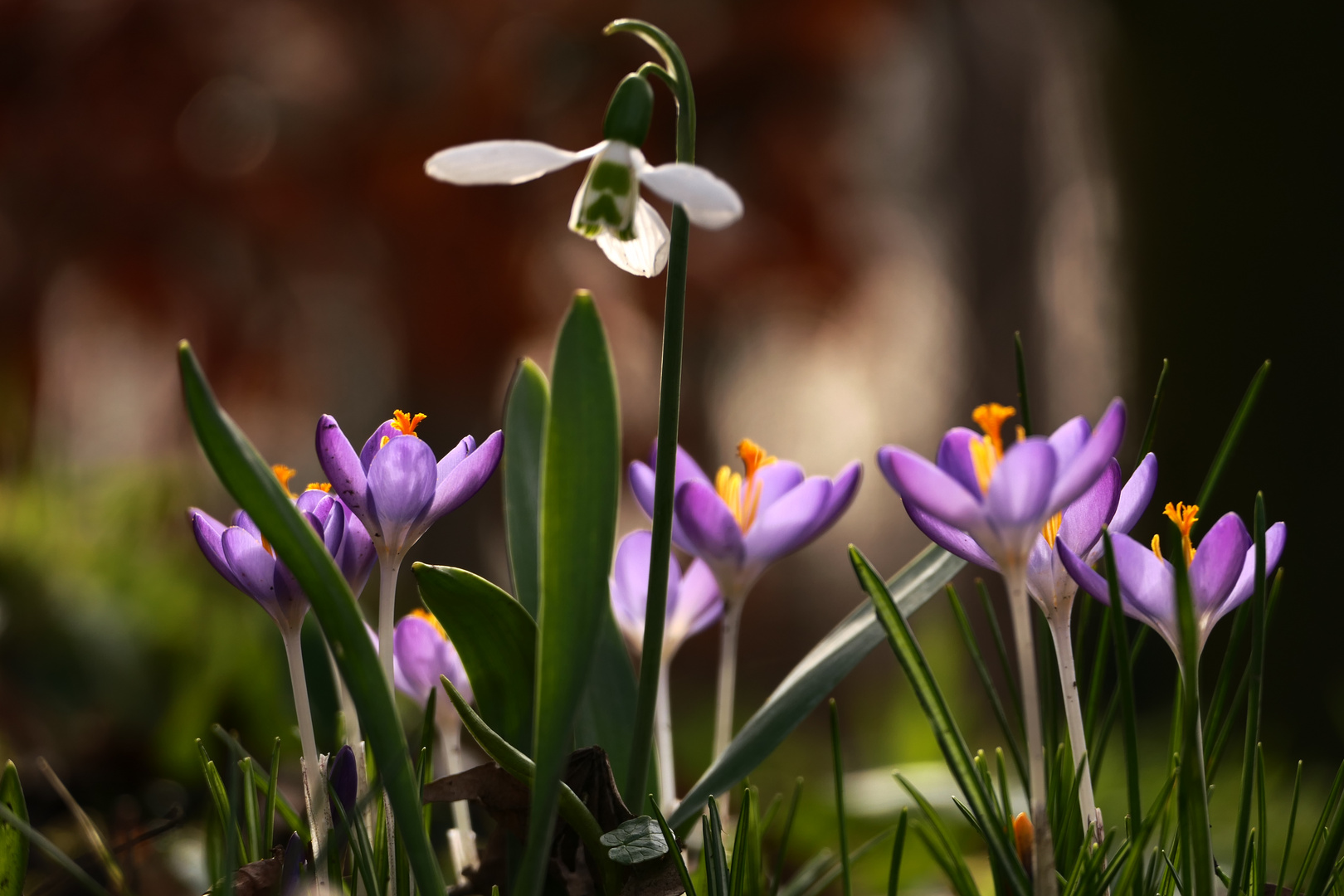 Frühlingsfarben