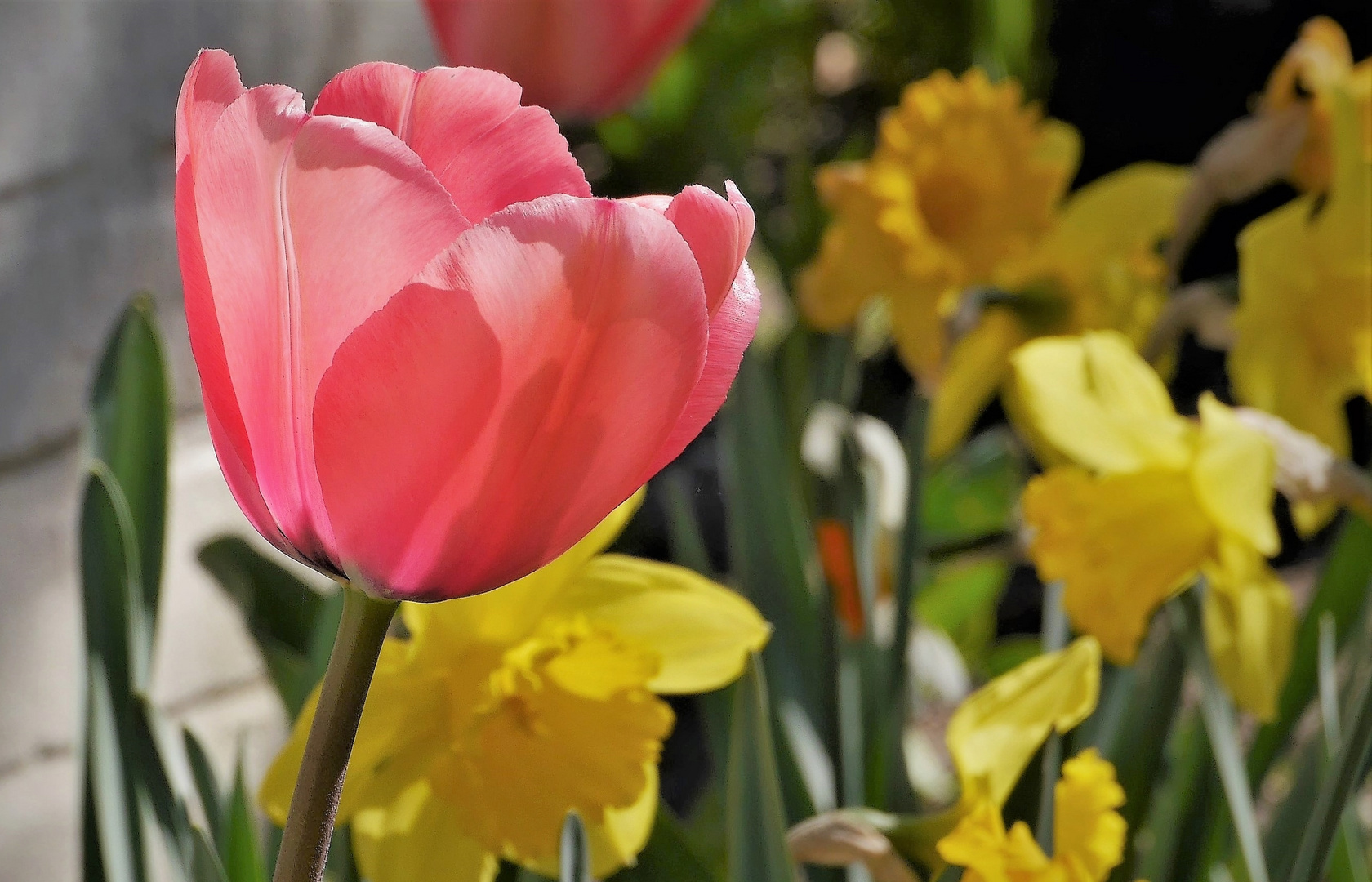 Frühlingsfarben