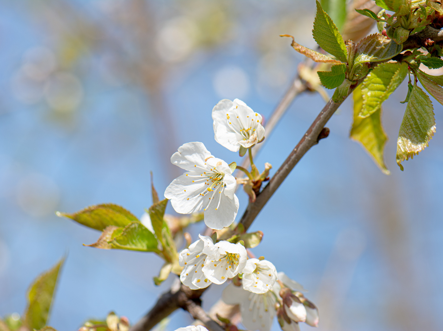 Frühlingsfarben