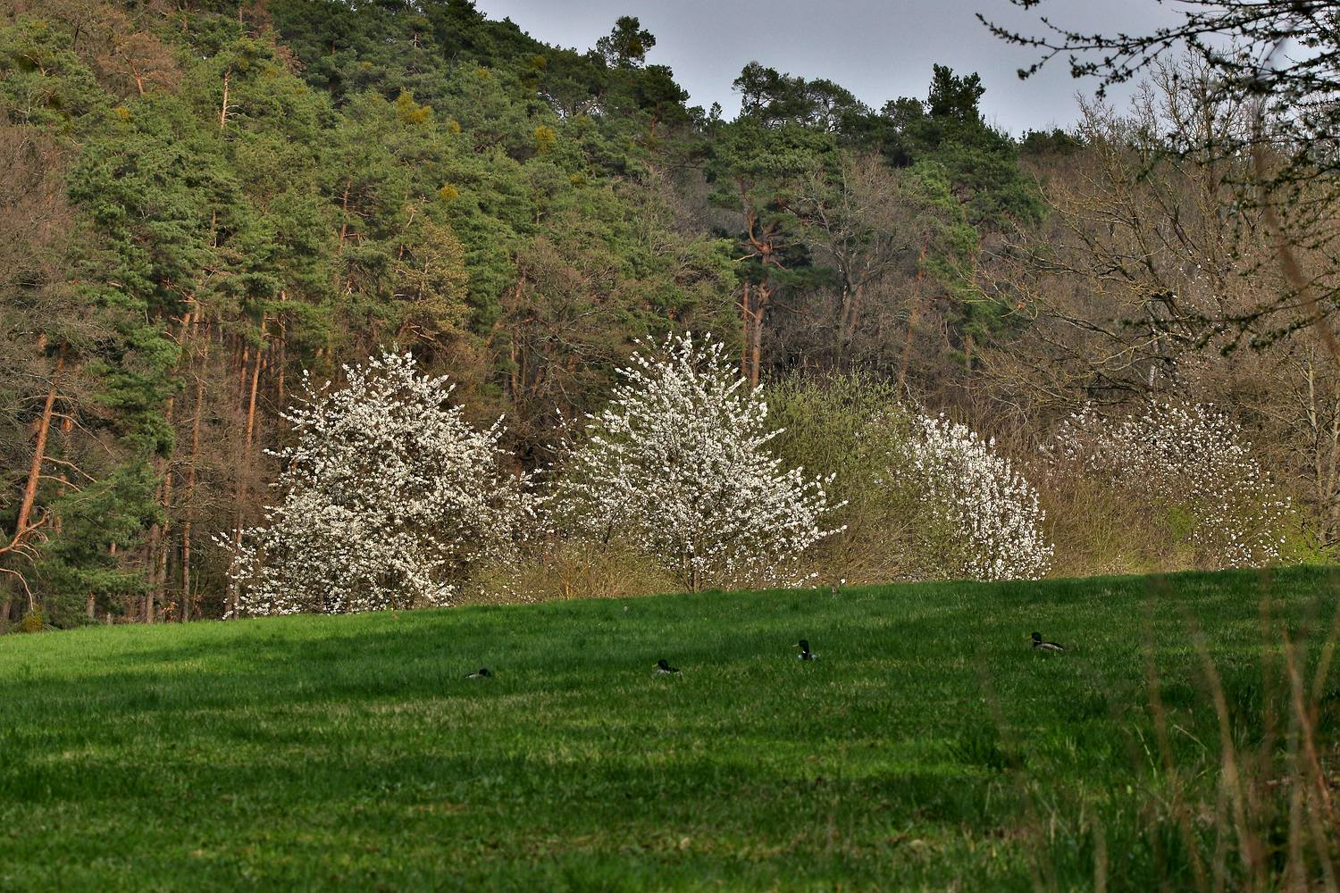 FRÜHLINGSFARBEN