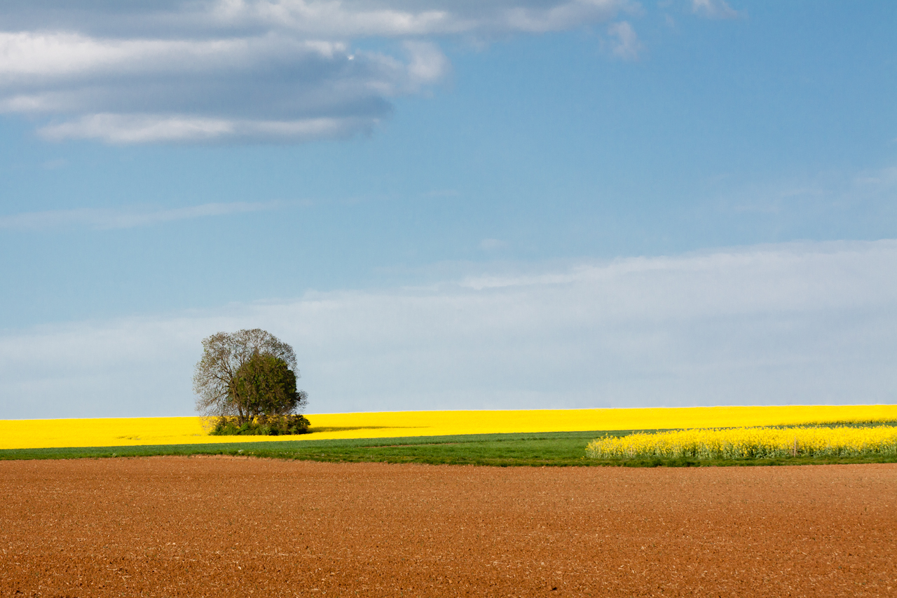 Frühlingsfarben