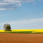 Frühlingsfarben