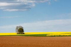 Frühlingsfarben