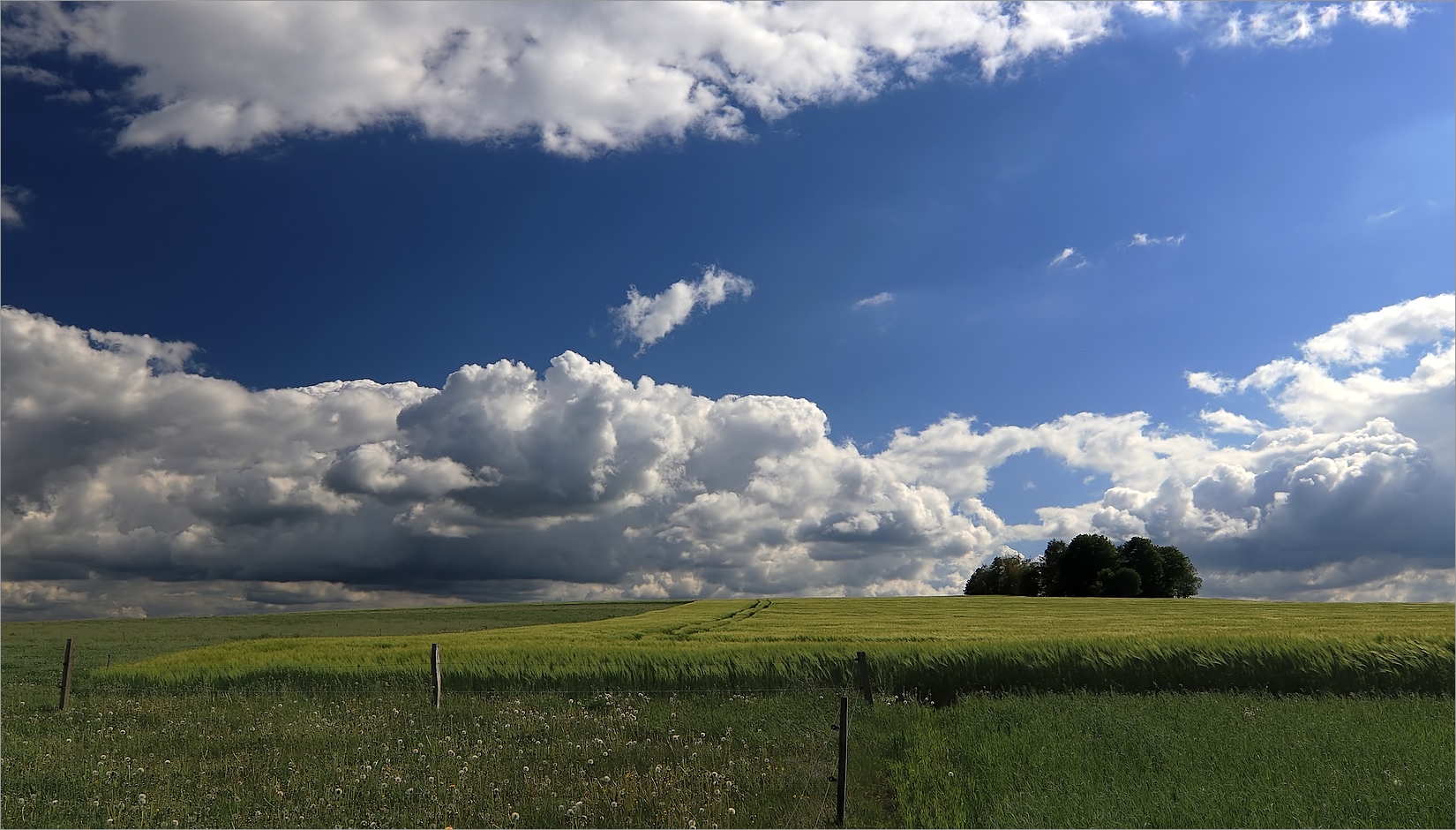 Frühlingsfarben