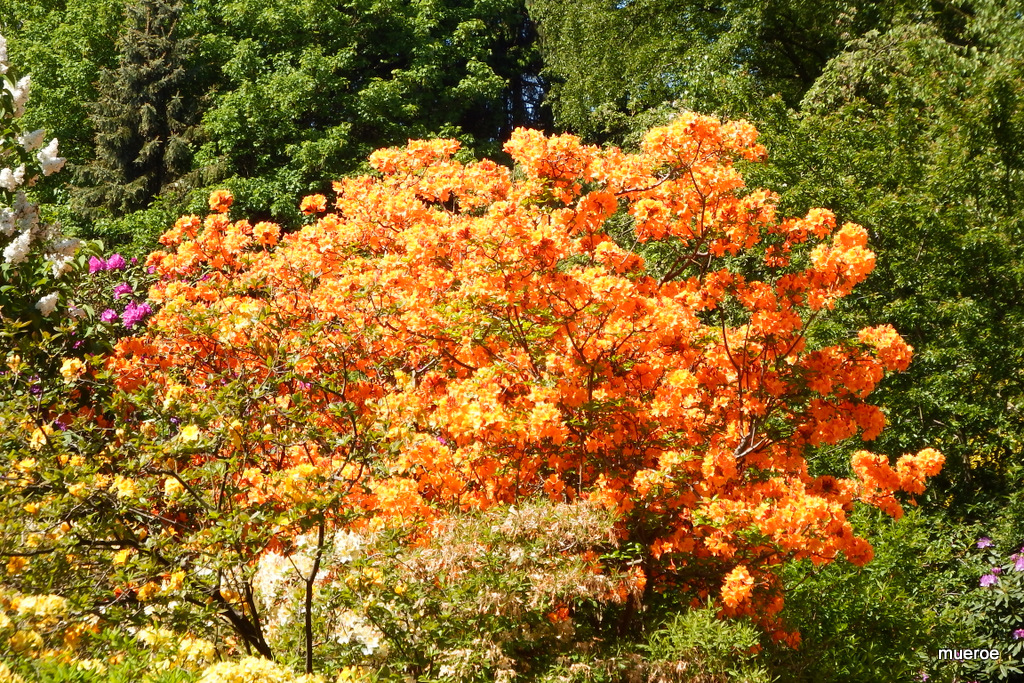 Frühlingsfarben