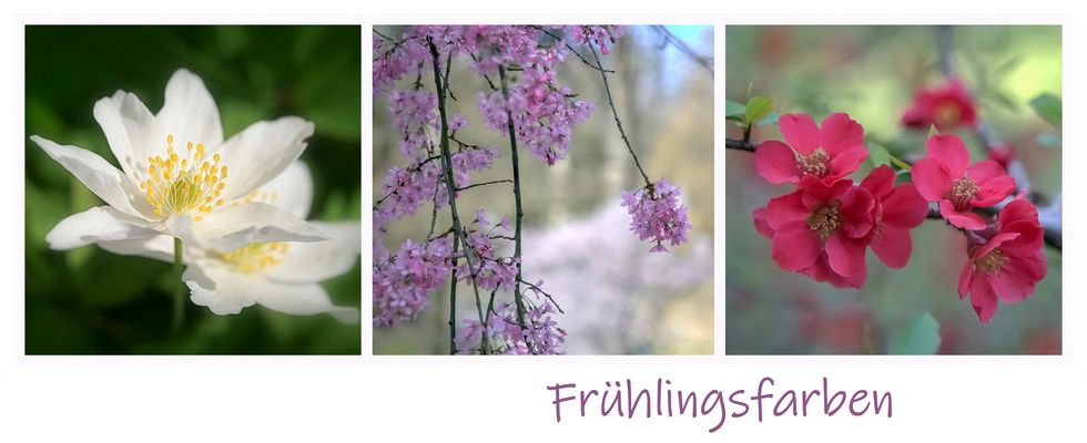 Frühlingsfarben
