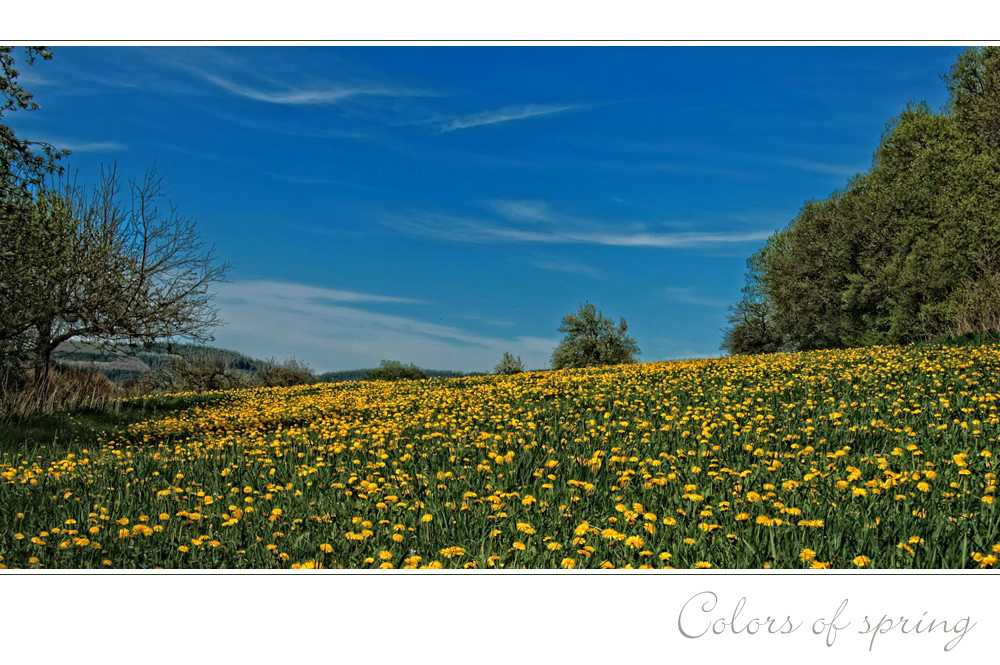 FRÜHLINGSFARBEN