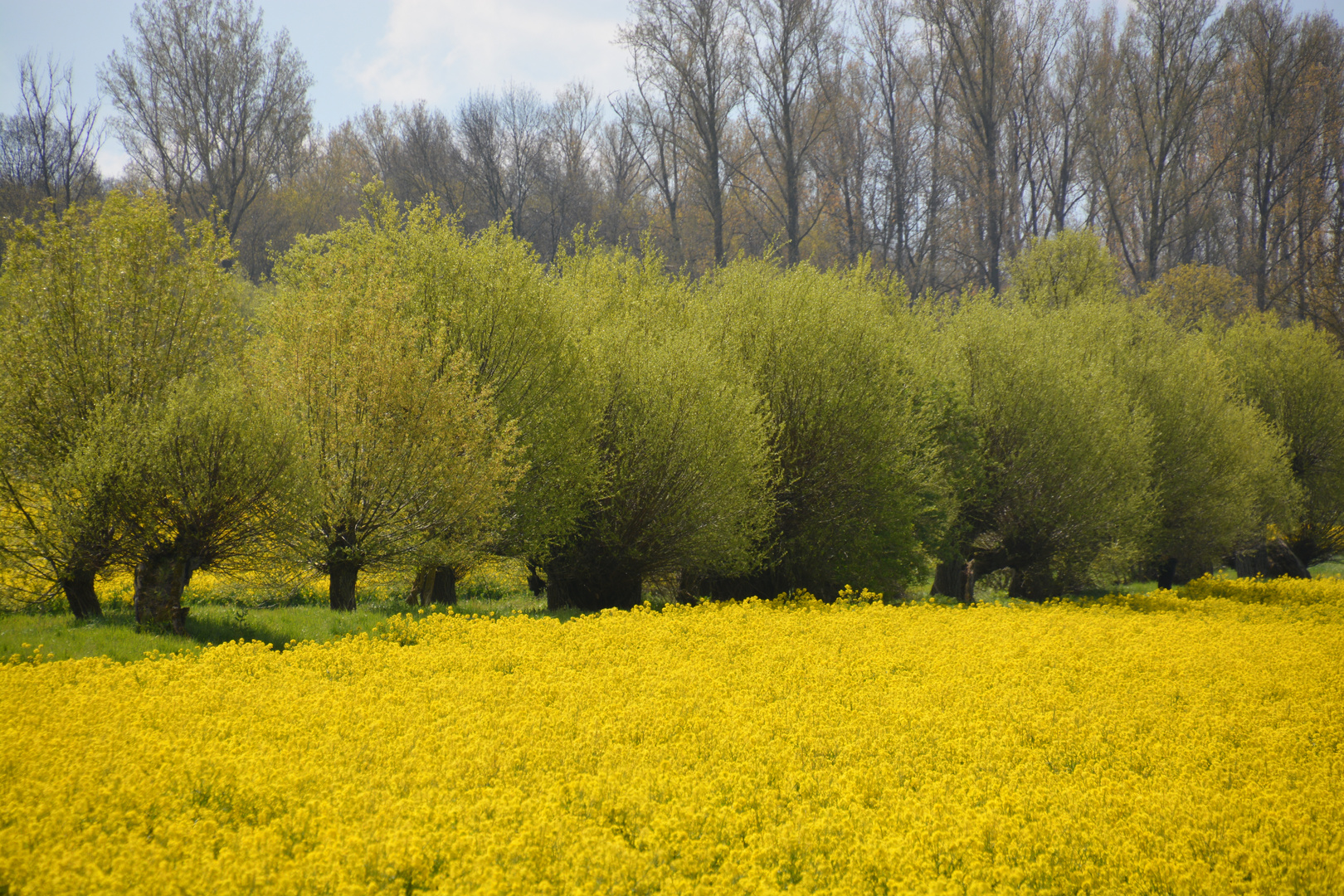 Frühlingsfarben