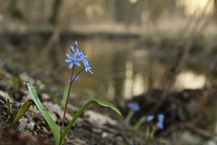 Frühlingsfarben