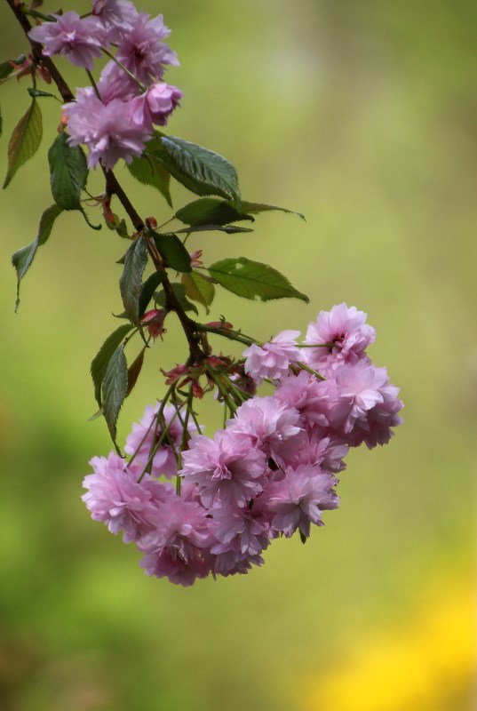 Frühlingsfarben