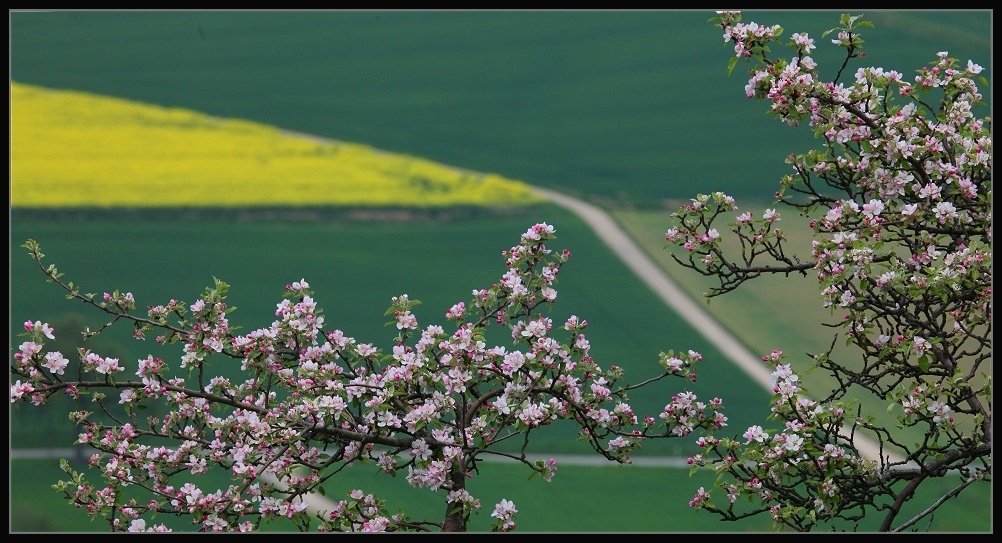 Frühlingsfarben