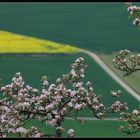 Frühlingsfarben