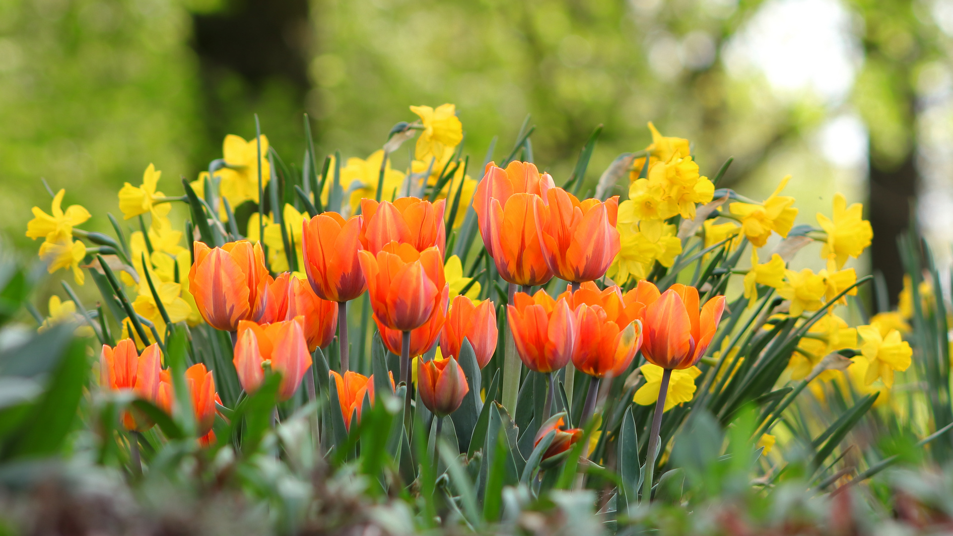 Frühlingsfarben