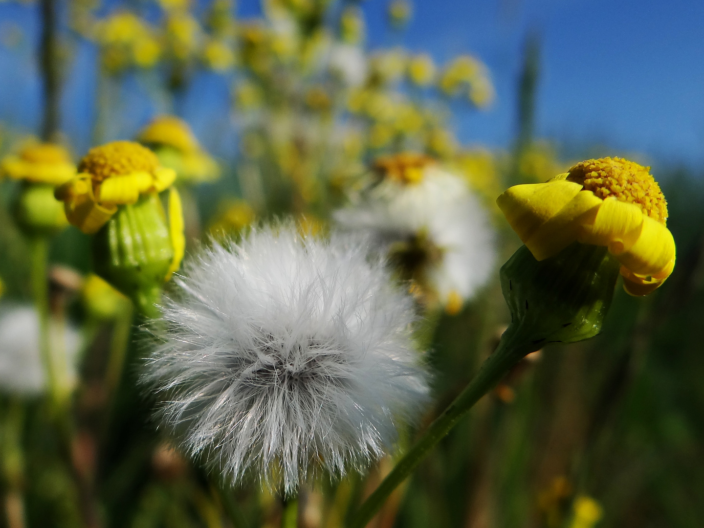 Frühlingsfarben