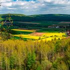 Frühlingsfarben am Deister